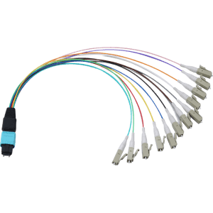 MPO/MTP Hydra Cable