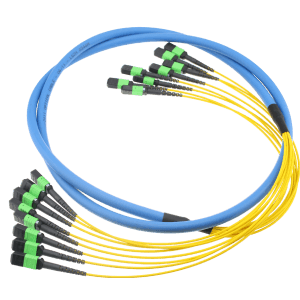 MPO/MTP Trunk Cable